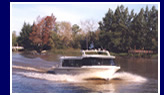 Foto Tigre Delta - R??¨?ao Parana